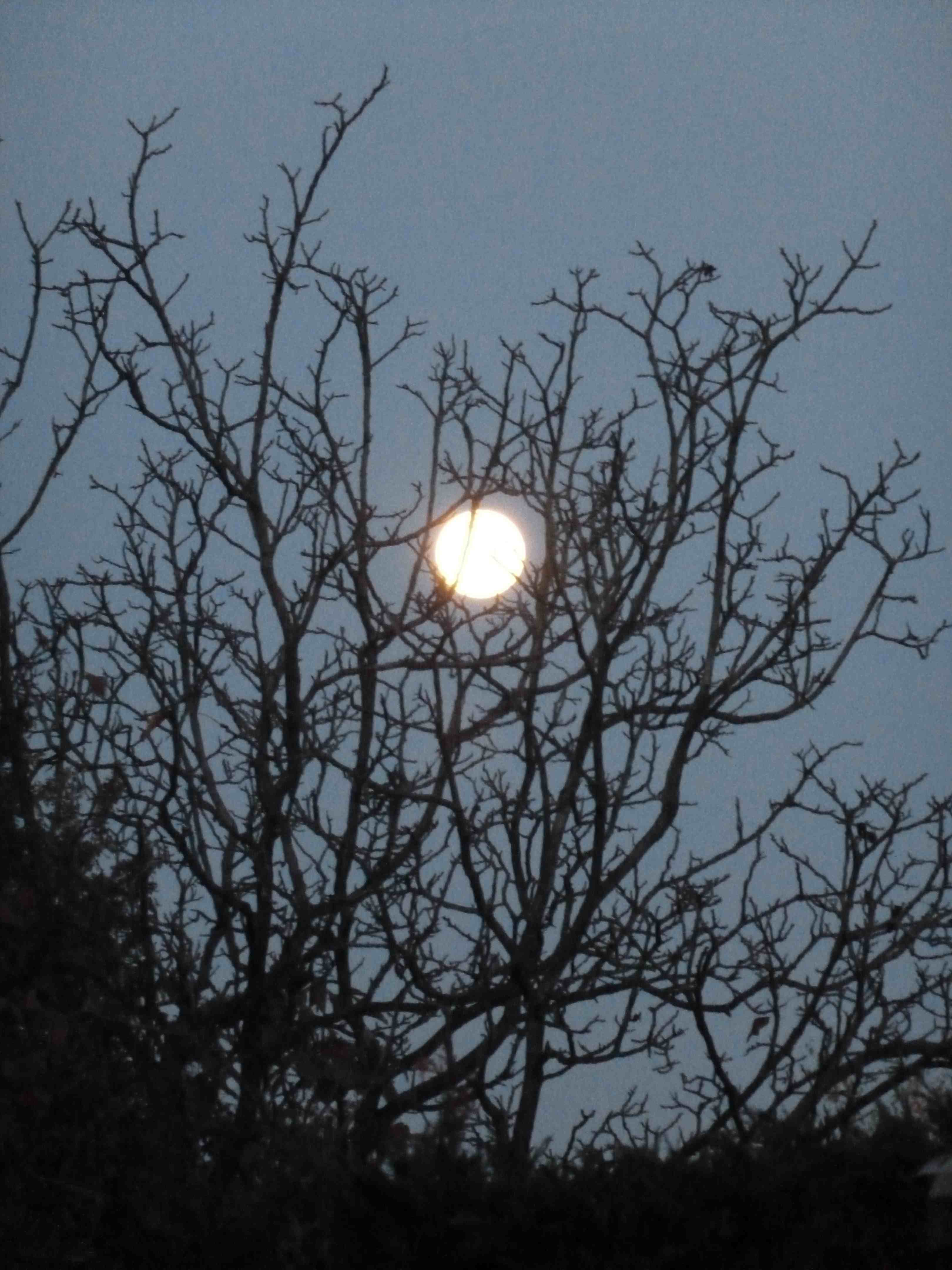 Morning full moon