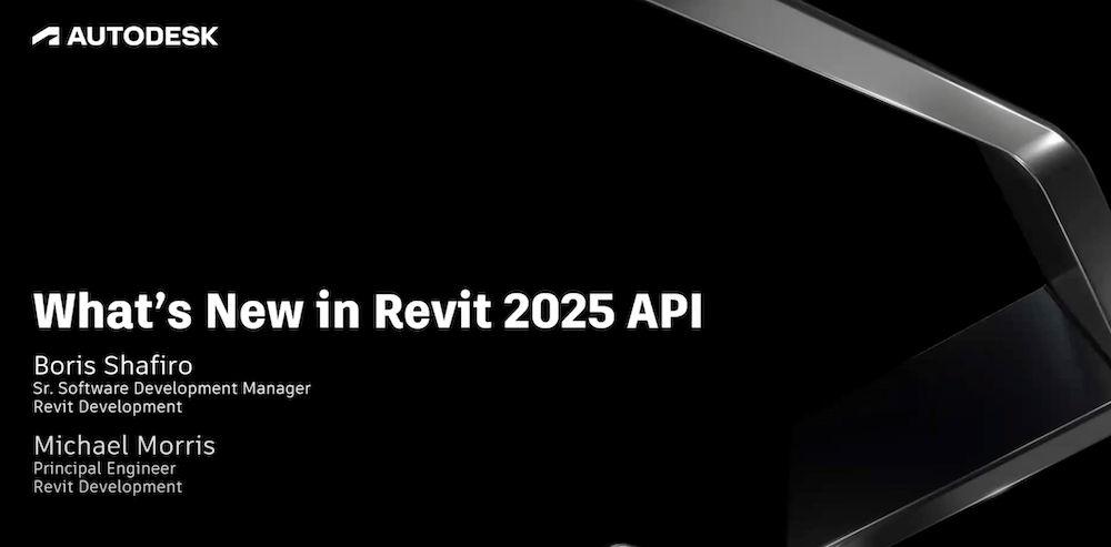 Revit 2025 API video