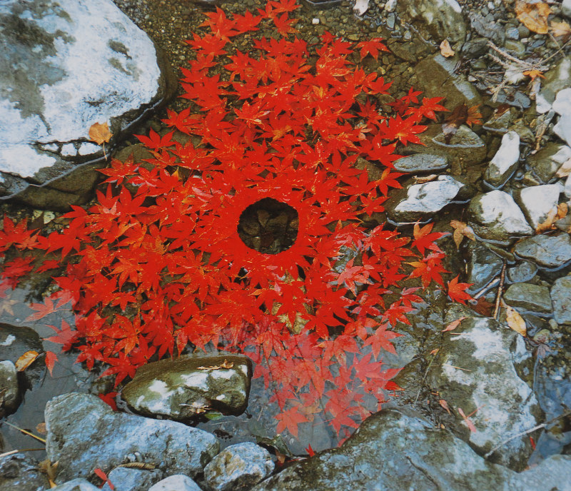 Transient nature art by Andy Goldsworthy
