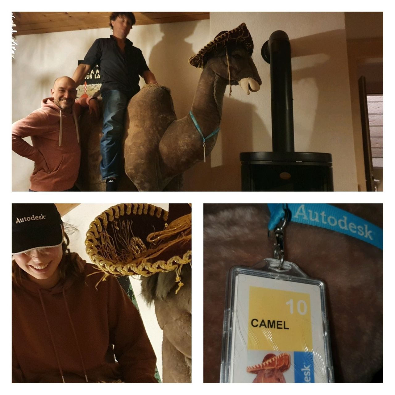 Autodesk Camel